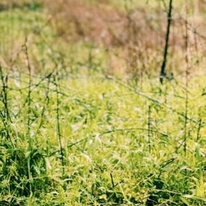 Meet your Posher, Ricky